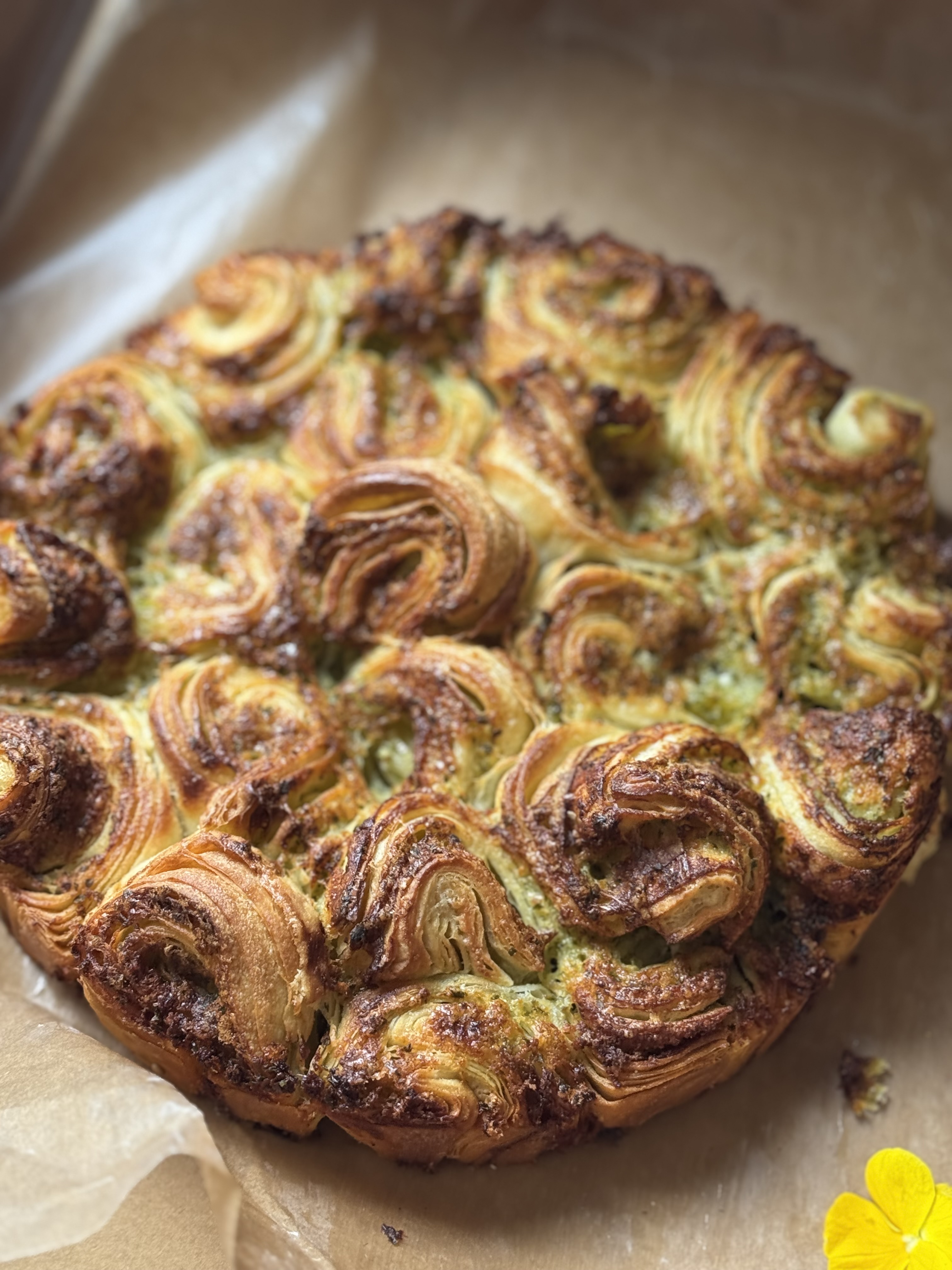 Mise en scène food avec décor végétal